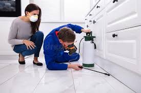 Best Indoor Pest Control  in Shelby, MI